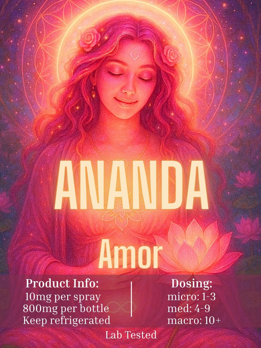 copy of 3x4 ananda stickers 3 copy of 3x4 ananda stickers 3