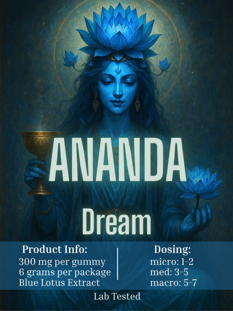 dream