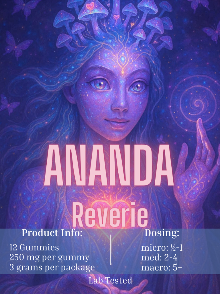 reverie