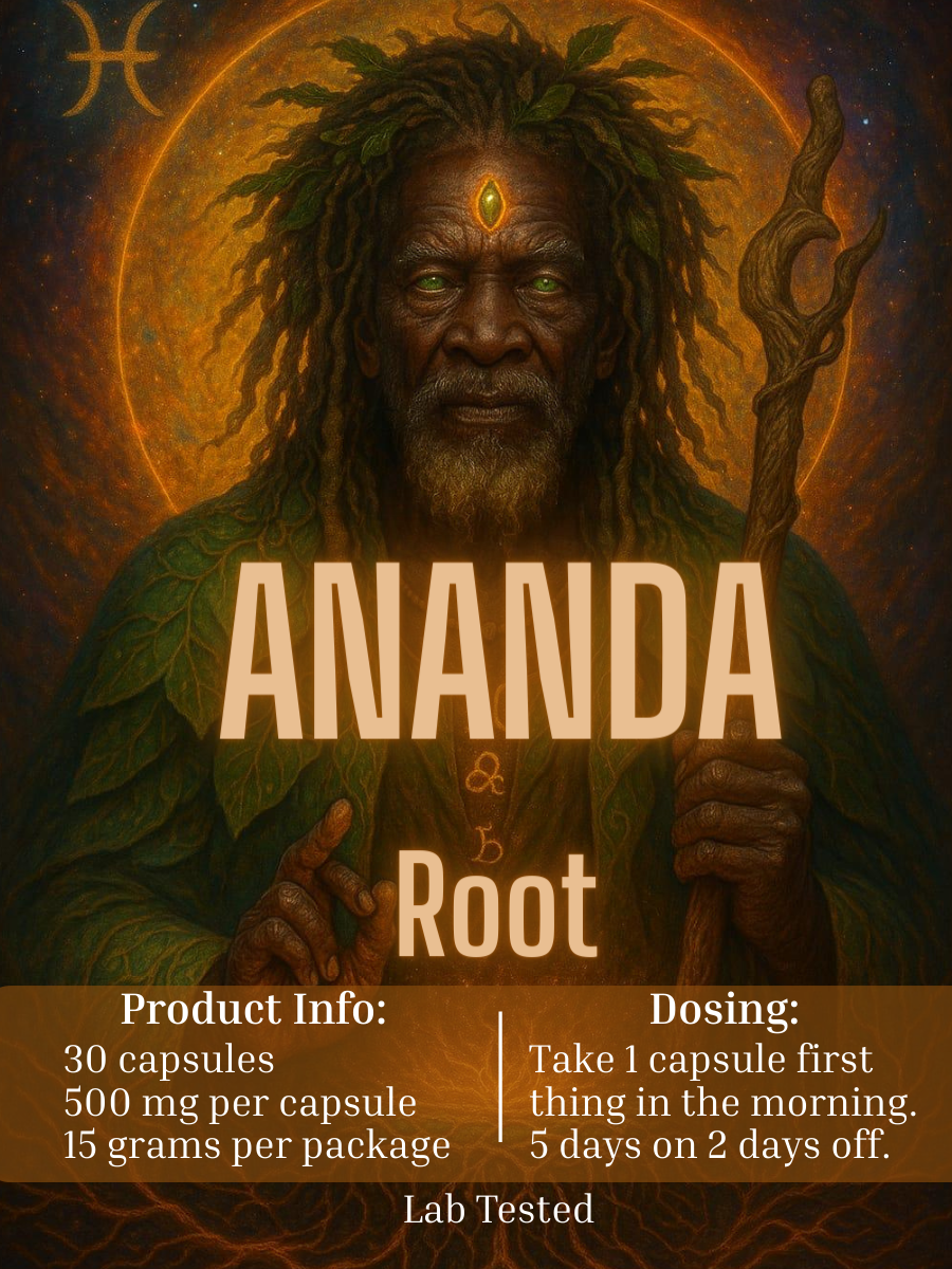 root root